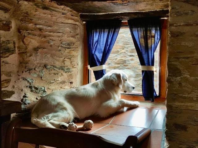 Casa Rural Bierzo Encantado Valle de Finolledo Eksteriør bilde